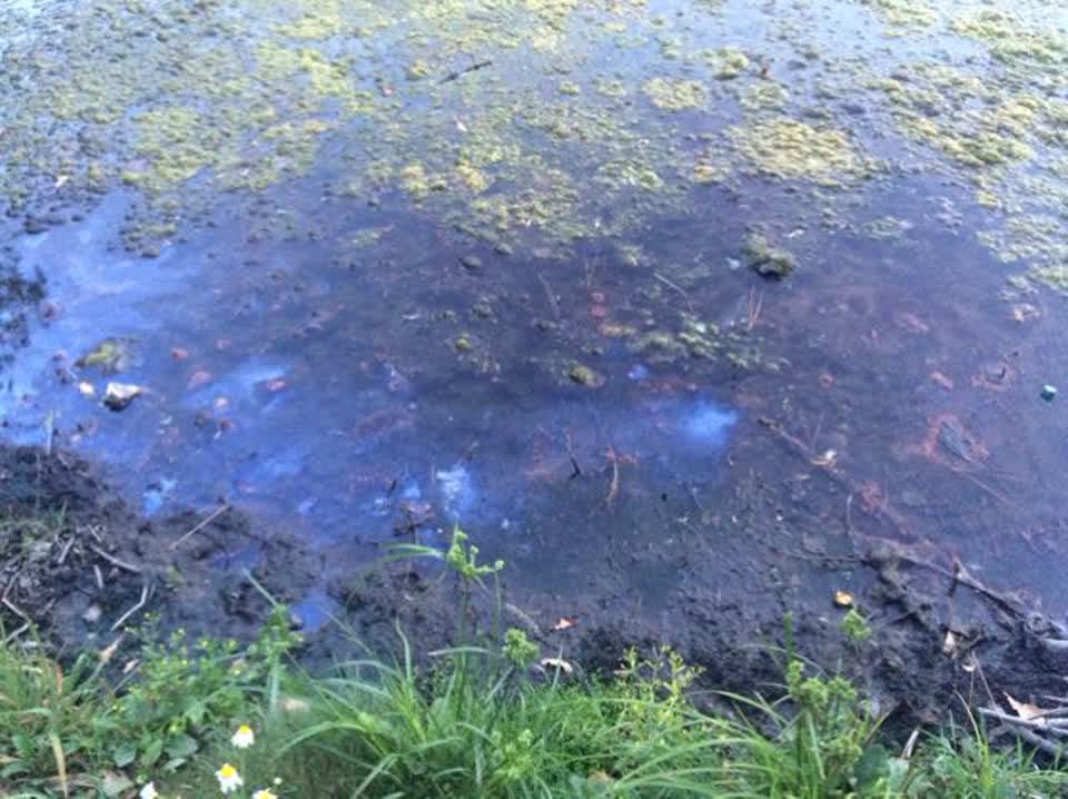 The photograph attached to this parks report