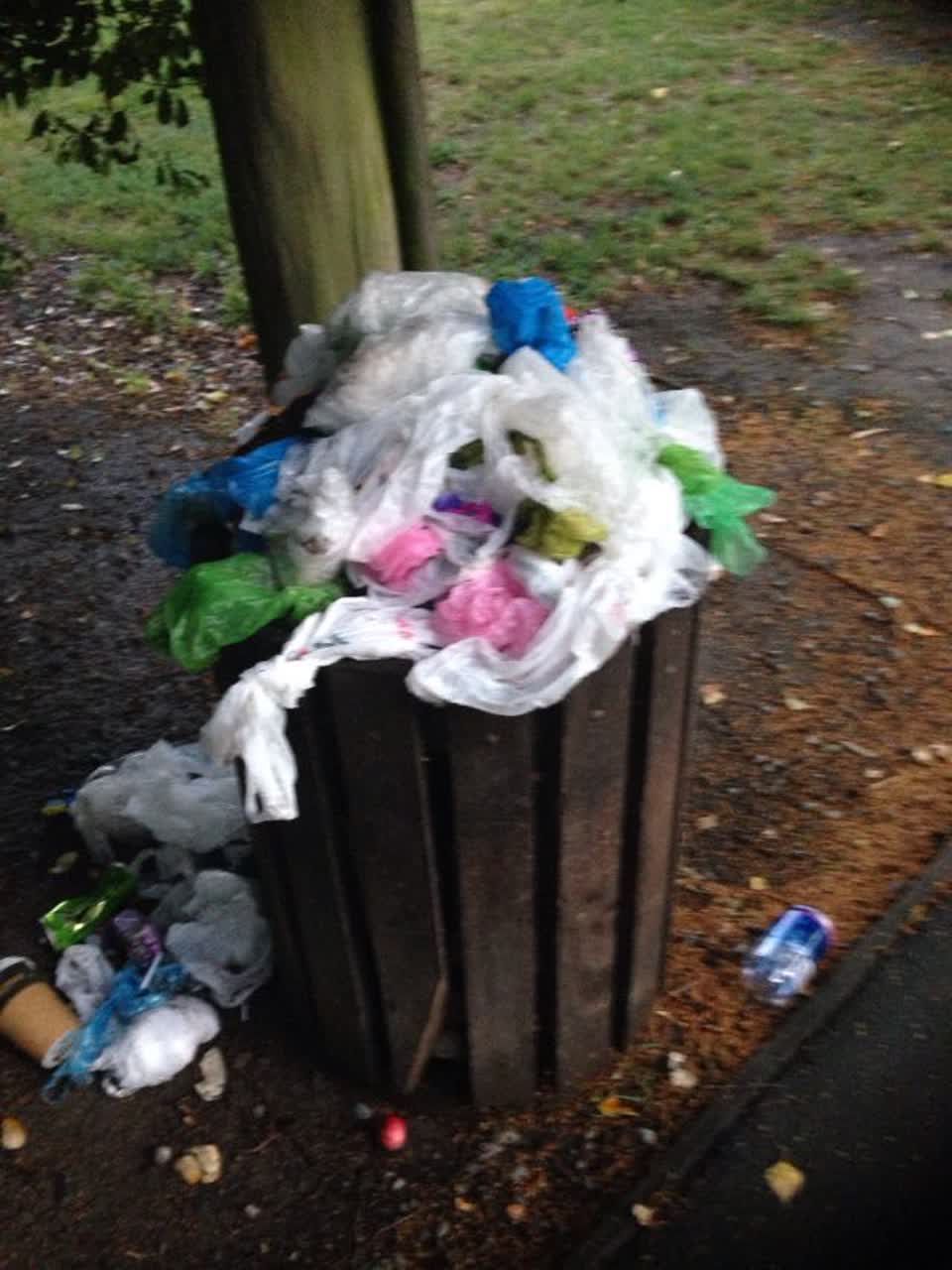 The photograph attached to this parks report