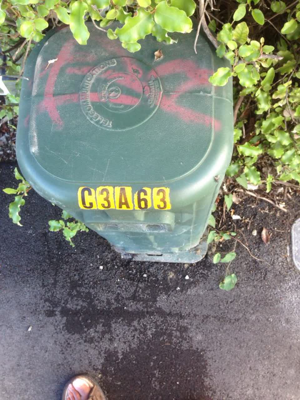 The photograph attached to this graffiti report