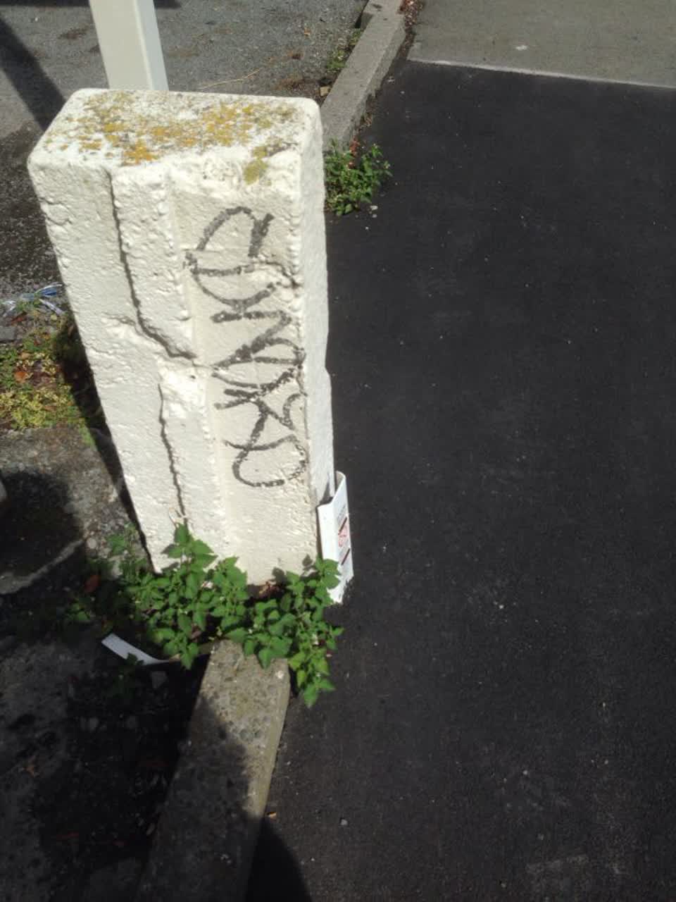 The photograph attached to this graffiti report