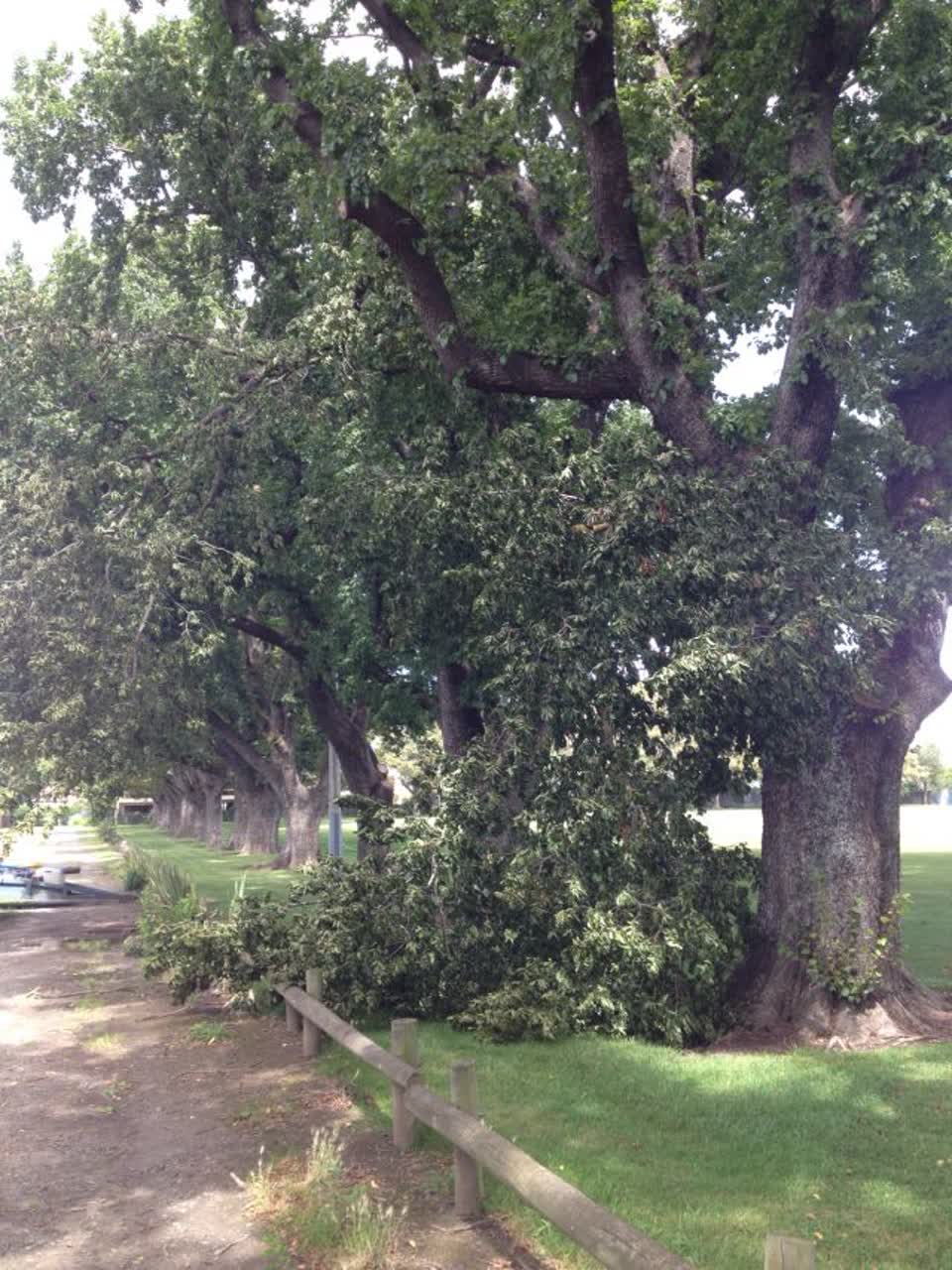The photograph attached to this parks report
