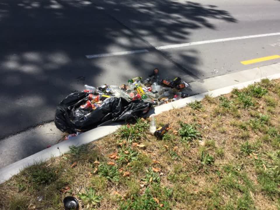 The photograph attached to this rubbish/recycling report