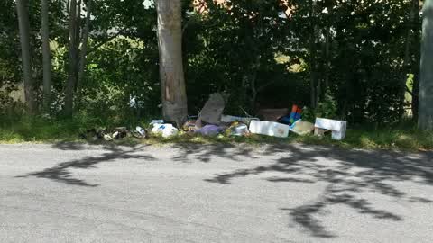 Rubbish/Recycling, a report photo