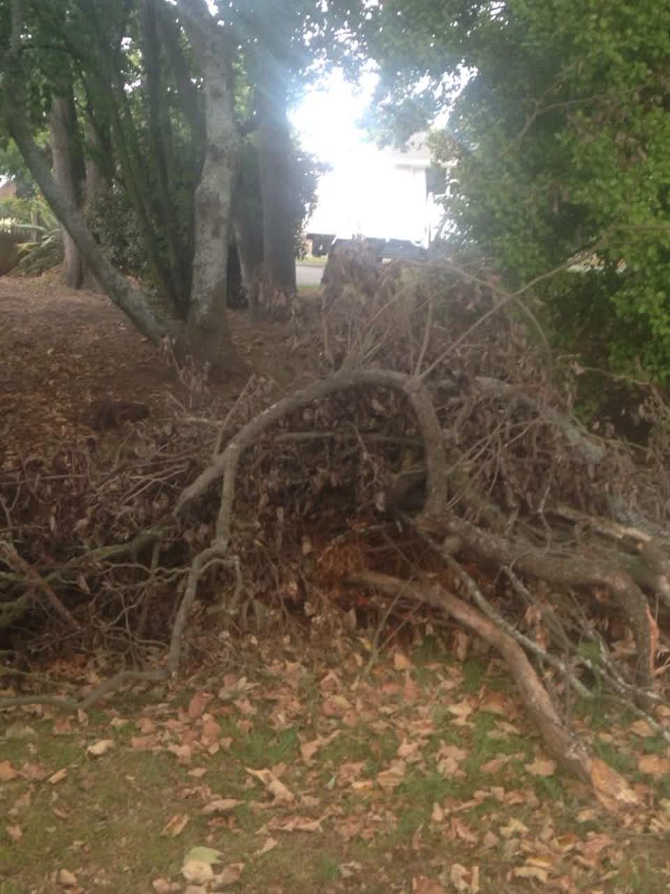 The photograph attached to this parks report