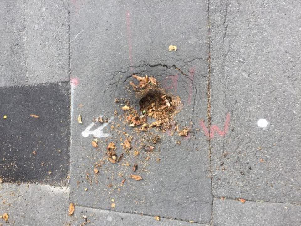 The photograph attached to this roading/streets report