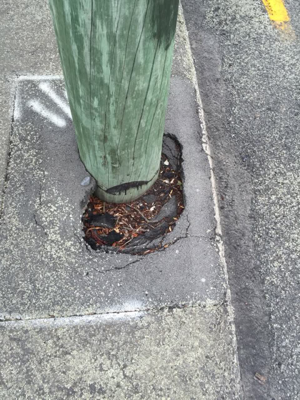 The photograph attached to this roading/streets report