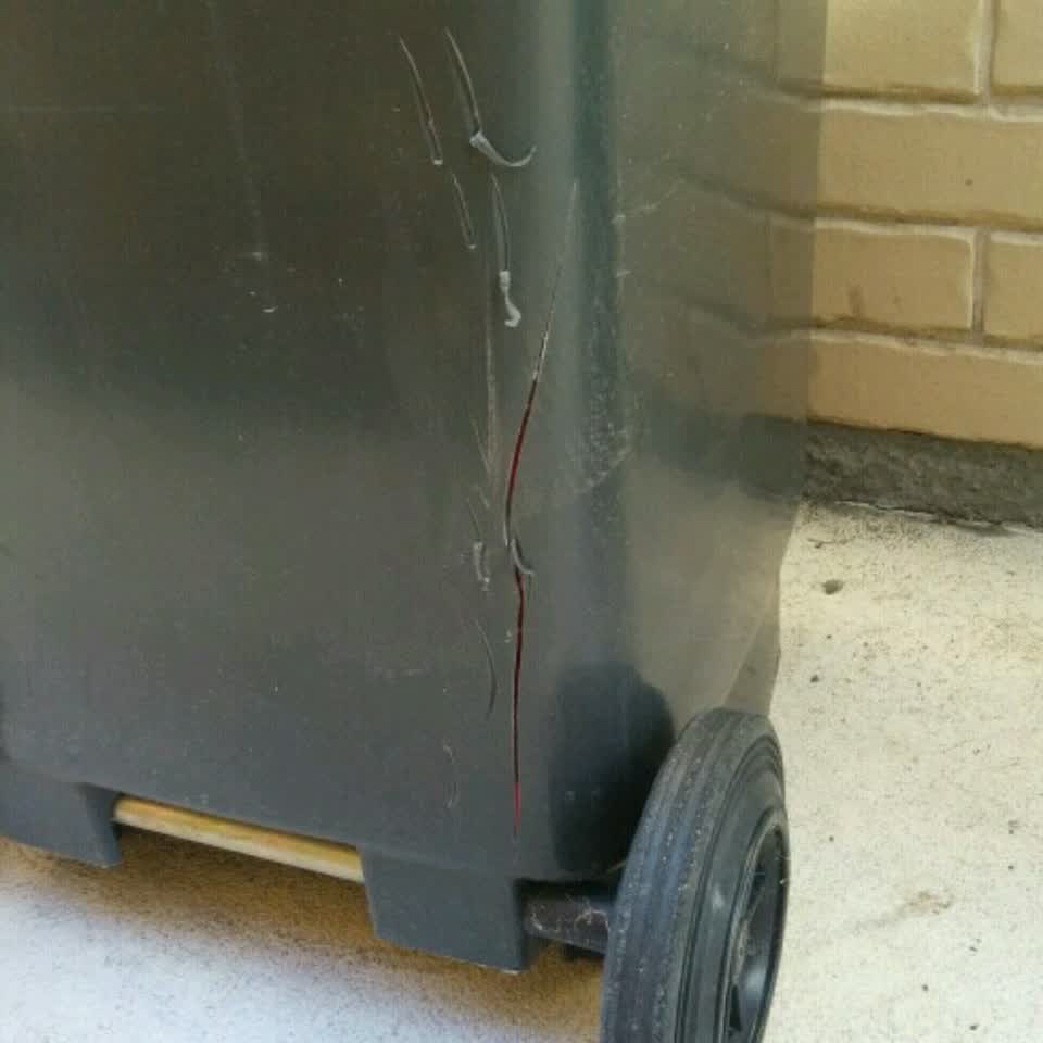 The photograph attached to this rubbish/recycling report