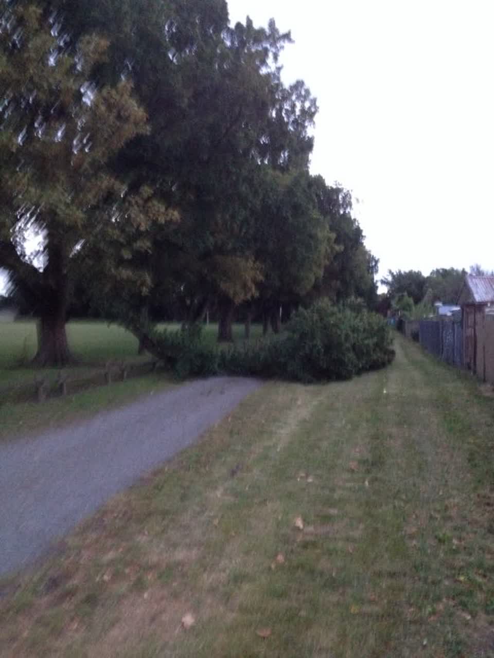 The photograph attached to this parks report