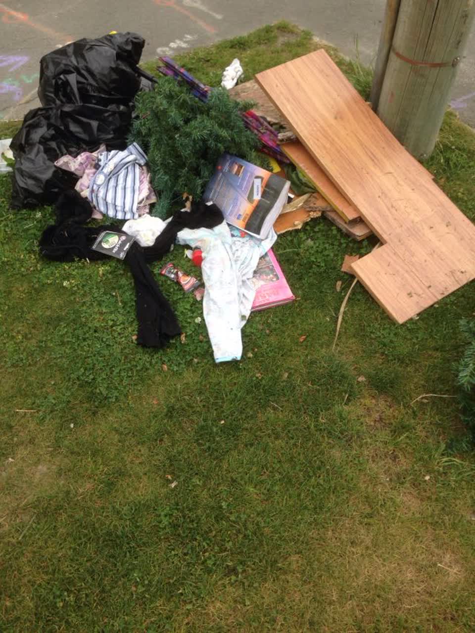 The photograph attached to this rubbish/recycling report