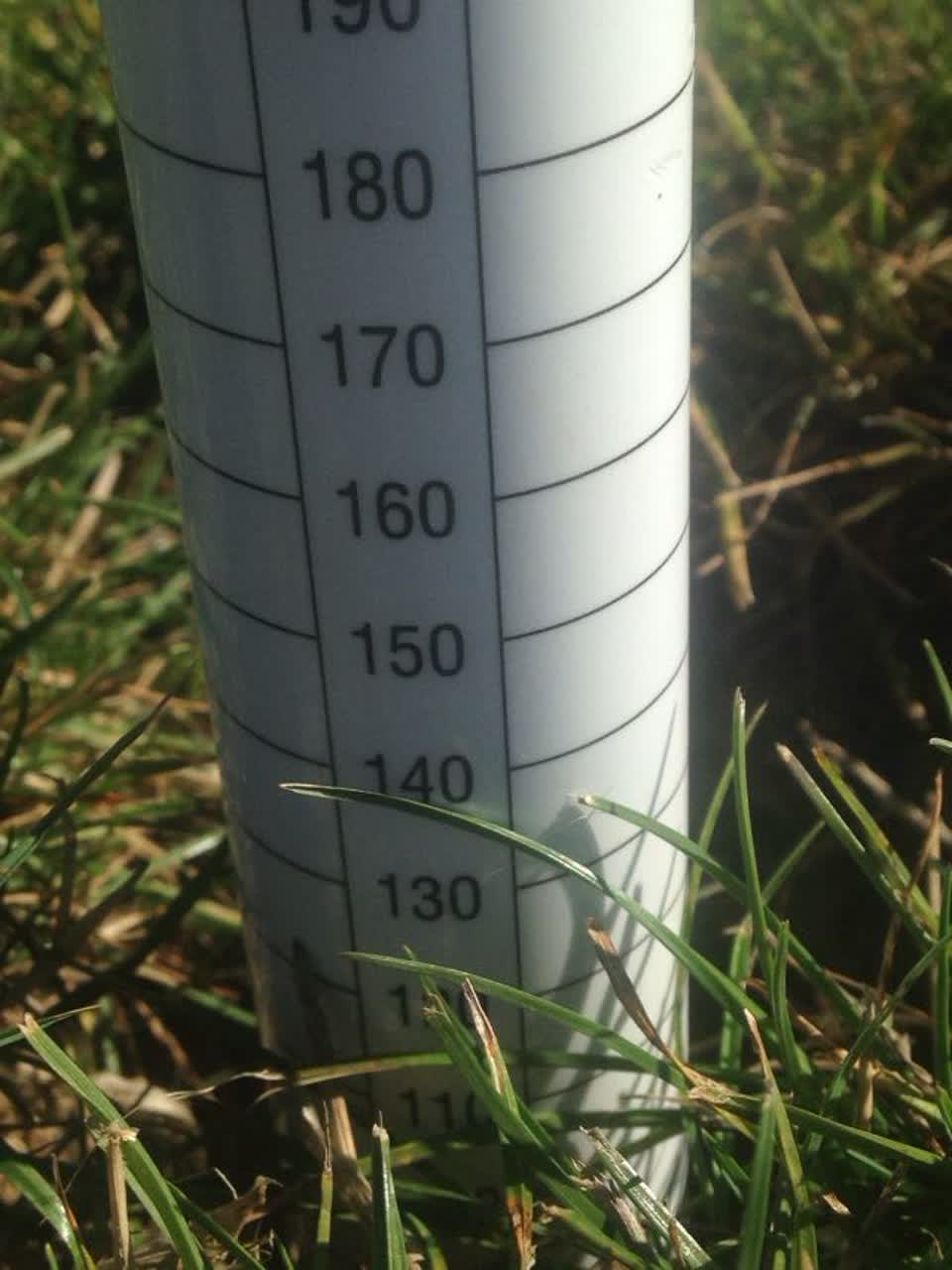 The photograph attached to this parks report