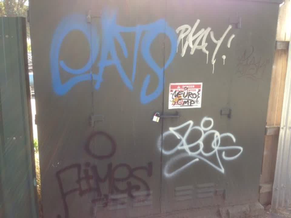 The photograph attached to this graffiti report