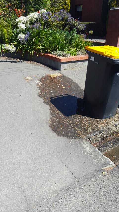 Water Supply, a report photo
