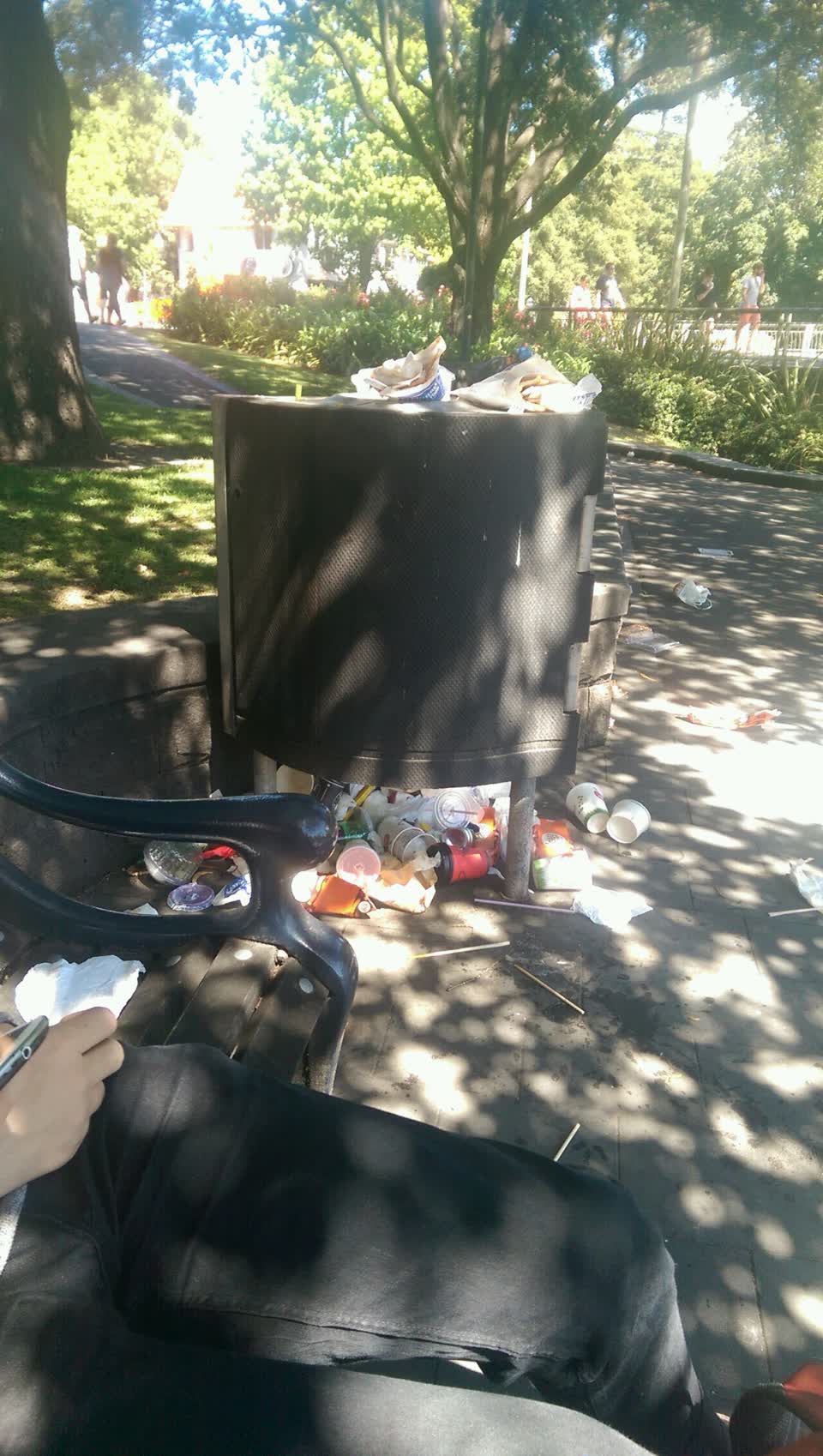 The photograph attached to this rubbish/recycling report