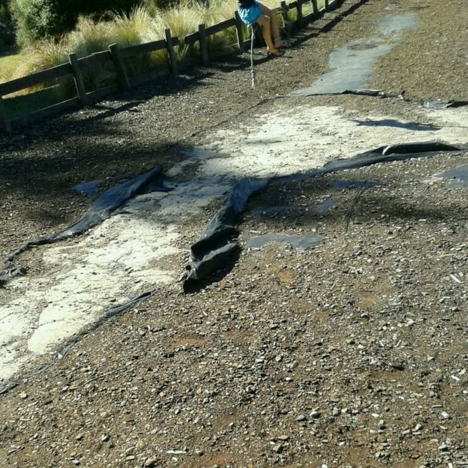 The photograph attached to this parks report