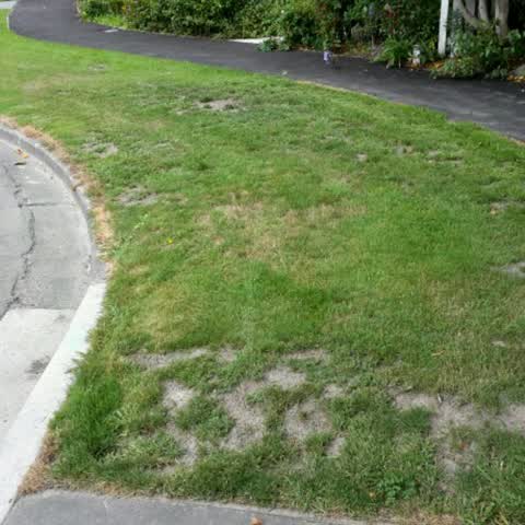 Roading/Streets, a report photo