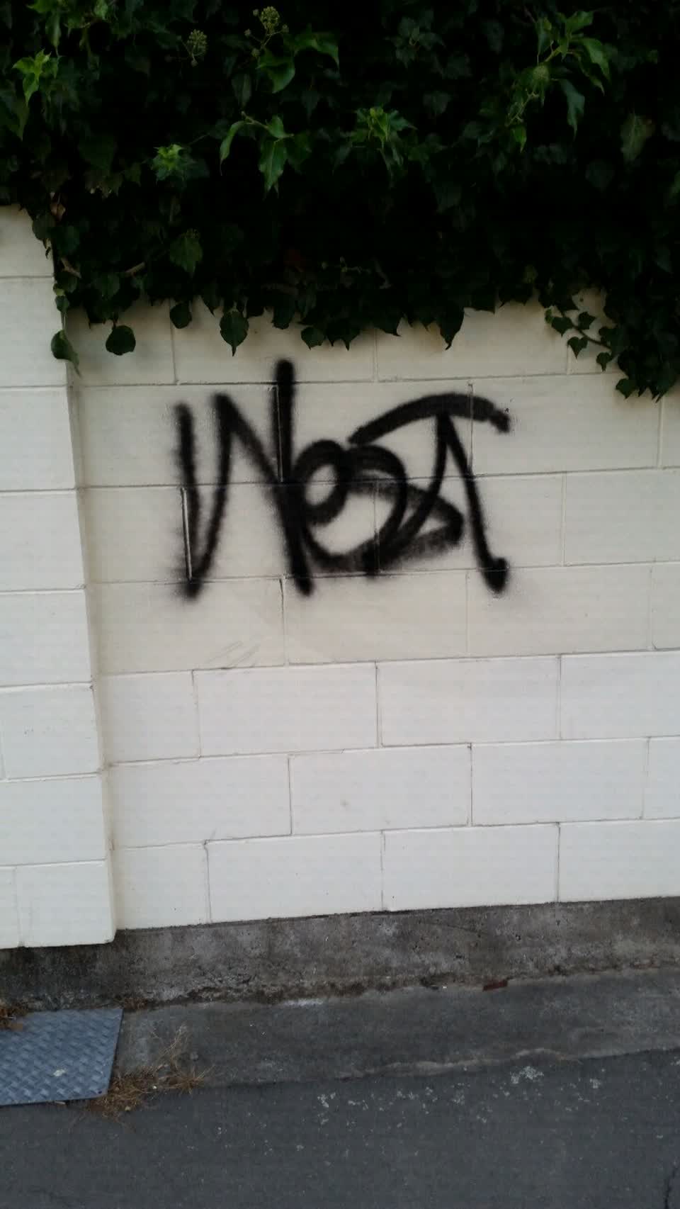 The photograph attached to this graffiti report