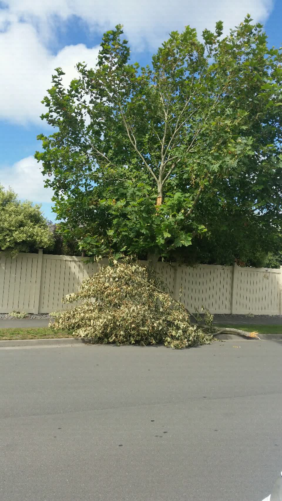 The photograph attached to this roading/streets report