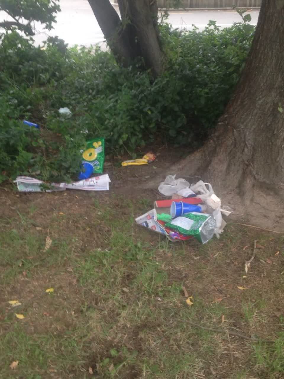The photograph attached to this rubbish/recycling report