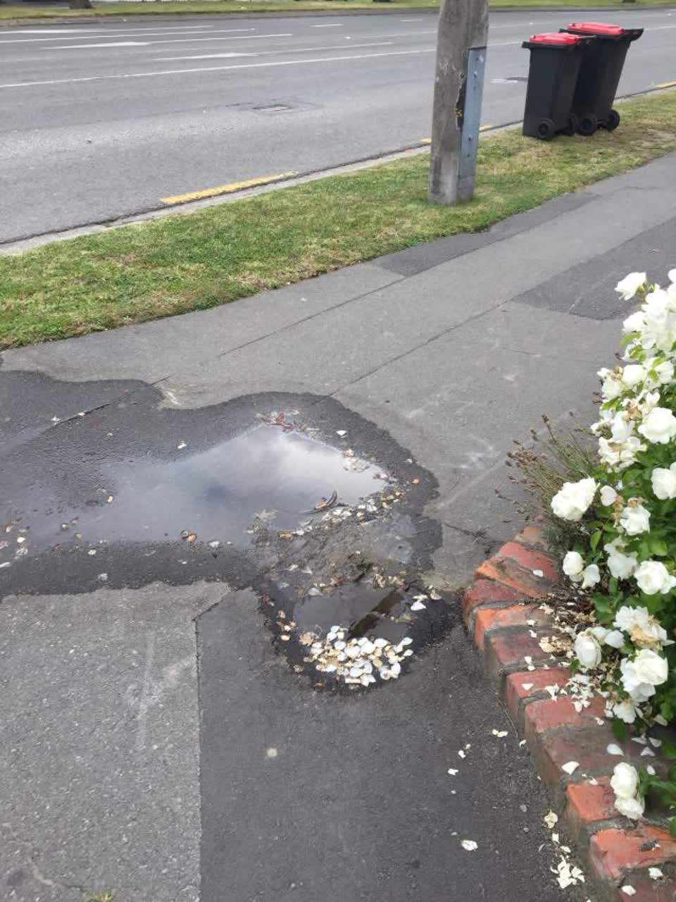The photograph attached to this water supply report