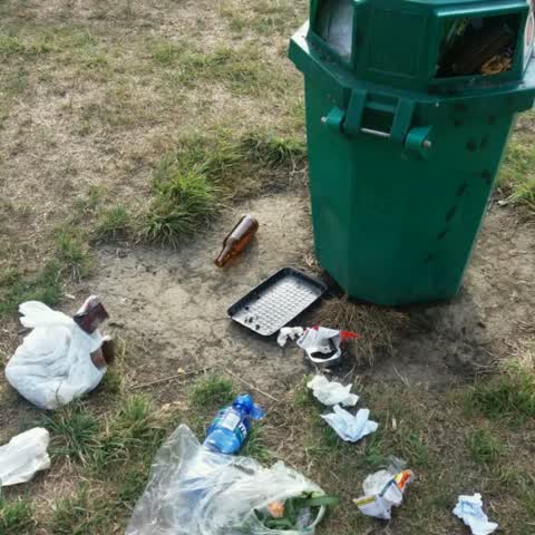 Rubbish/Recycling, a report photo