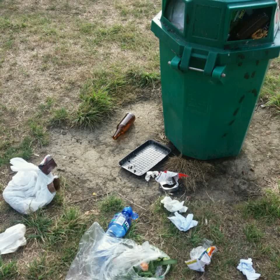 The photograph attached to this rubbish/recycling report