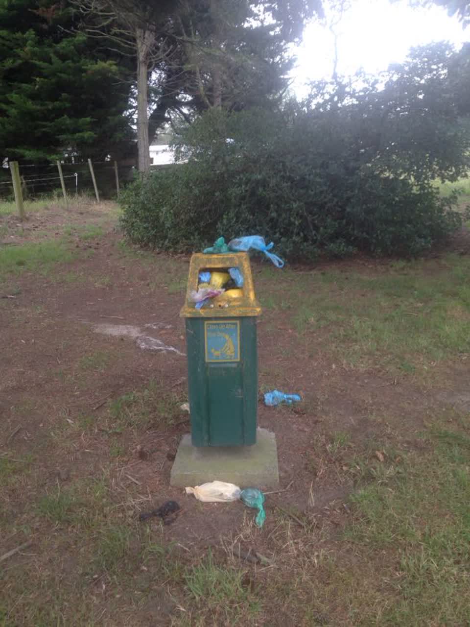 The photograph attached to this parks report