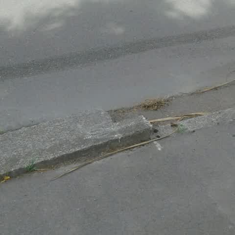 Roading/Streets, a report photo