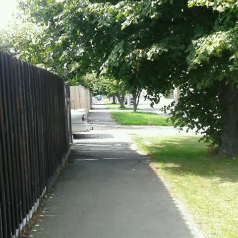 Roading/Streets, a report photo