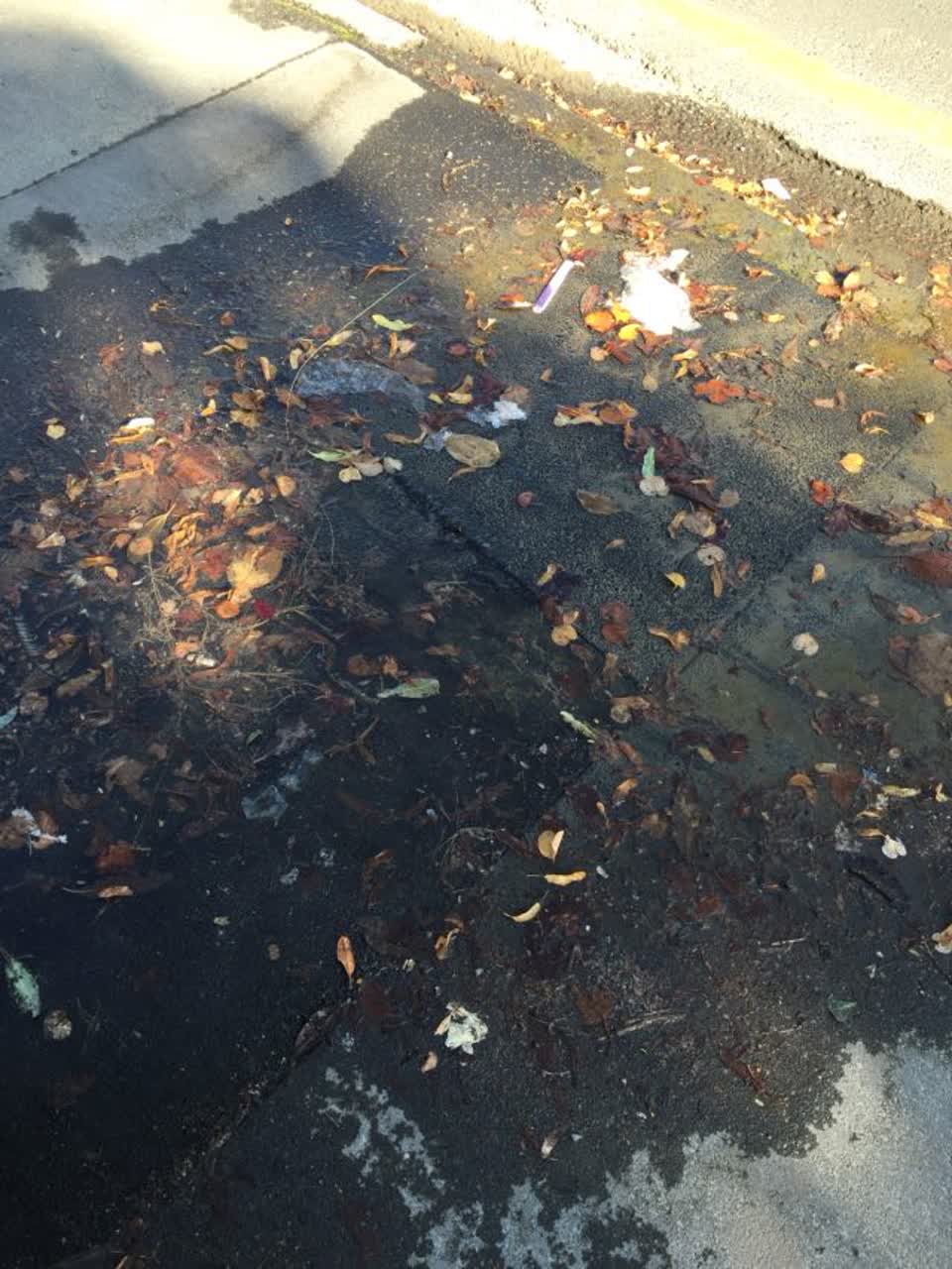 The photograph attached to this water supply report