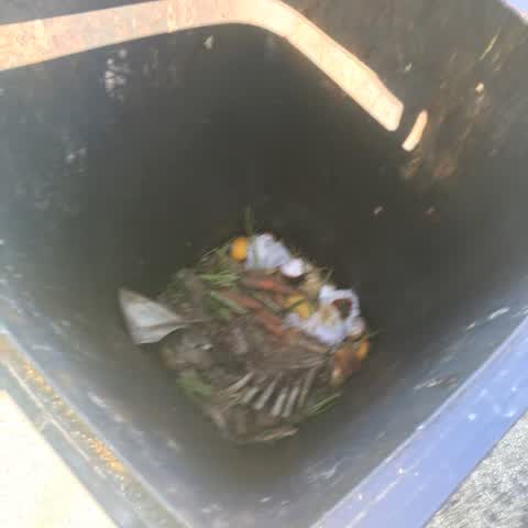 Rubbish/Recycling, a report photo