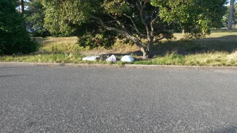 Rubbish/Recycling — a report photo