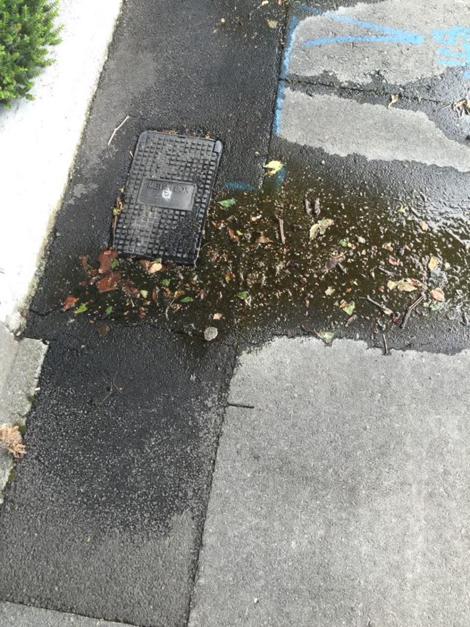The photograph attached to this water supply report