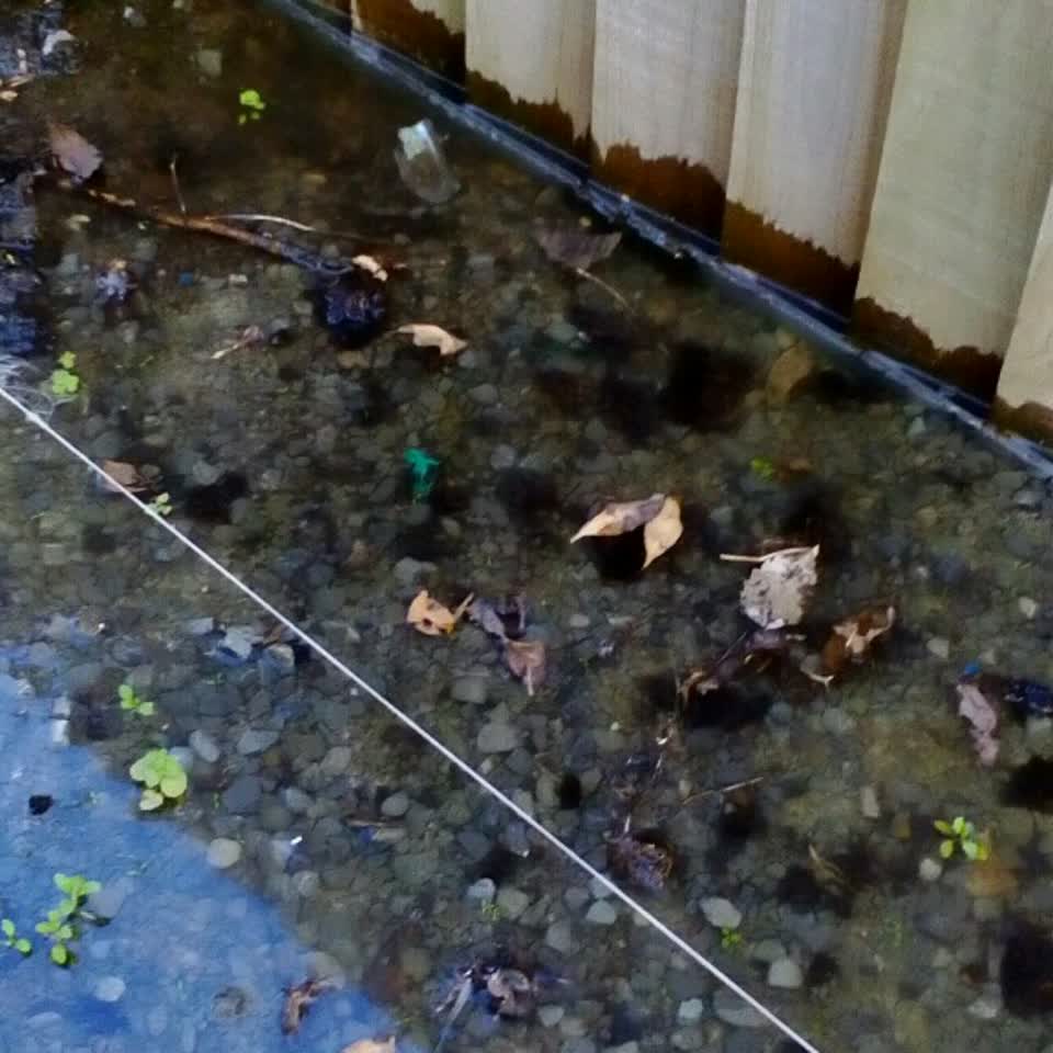 The photograph attached to this wastewater/stormwater report