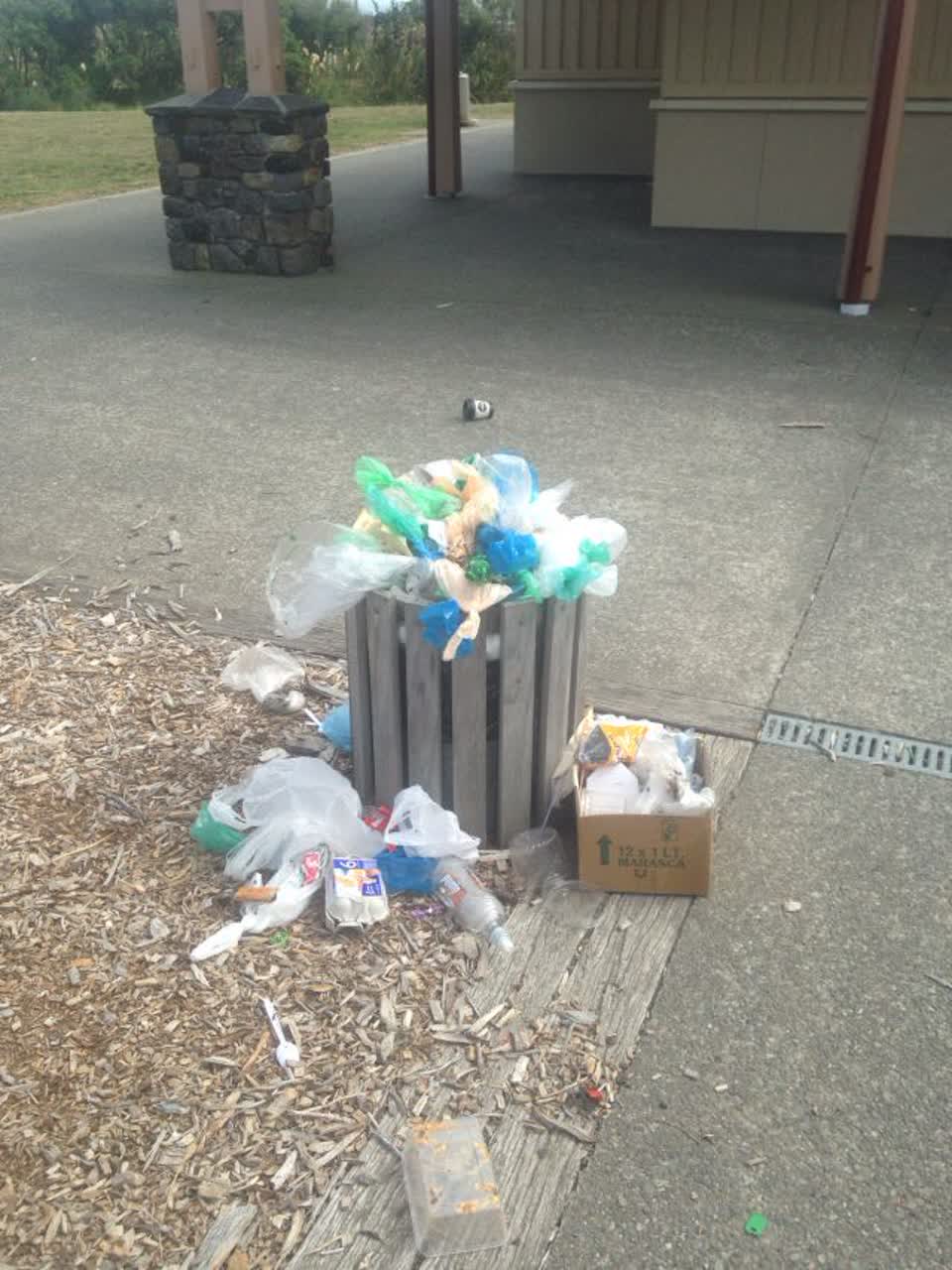 The photograph attached to this parks report