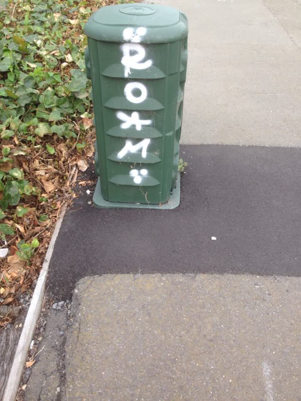 The photograph attached to this graffiti report