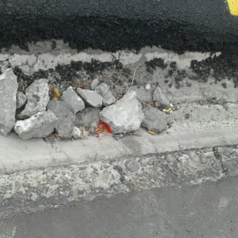 Roading/Streets, a report photo