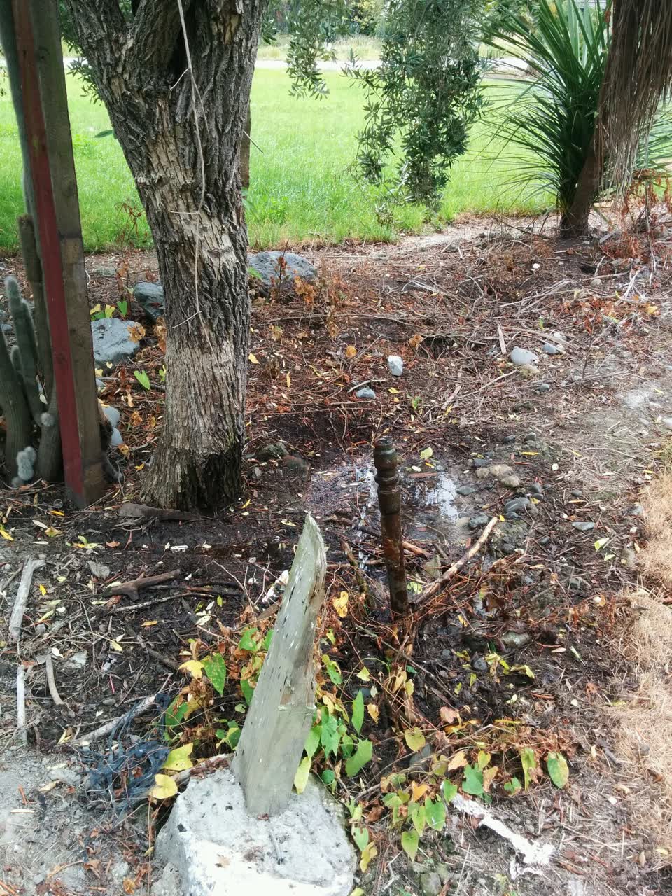 The photograph attached to this water supply report