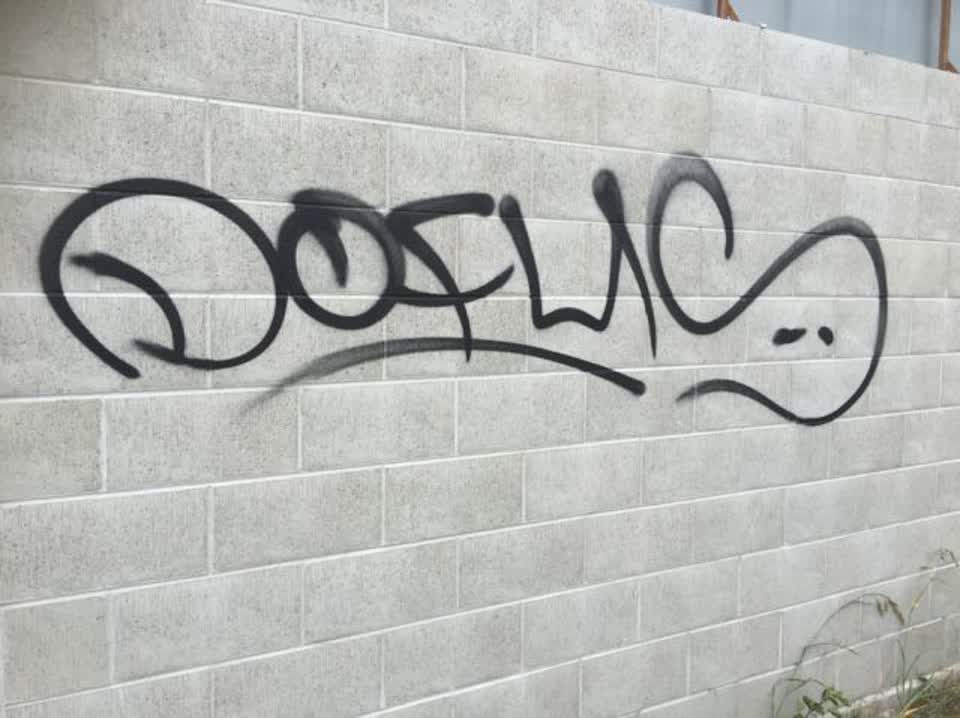 The photograph attached to this graffiti report