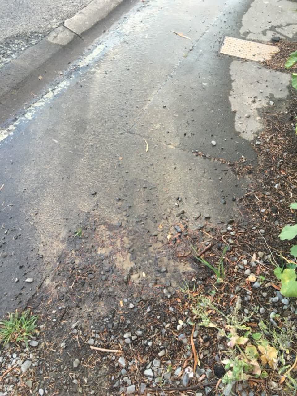 The photograph attached to this water supply report