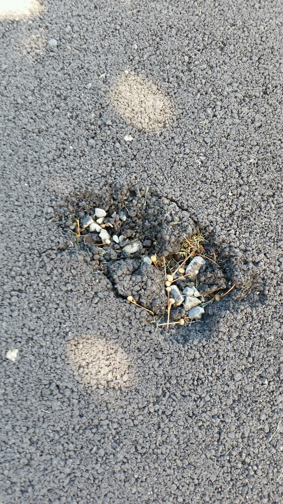 The photograph attached to this roading/streets report