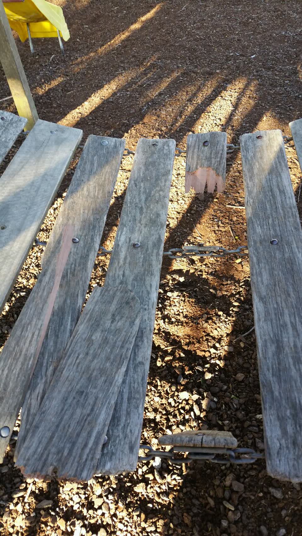The photograph attached to this parks report