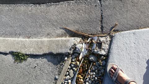 Roading/Streets, a report photo