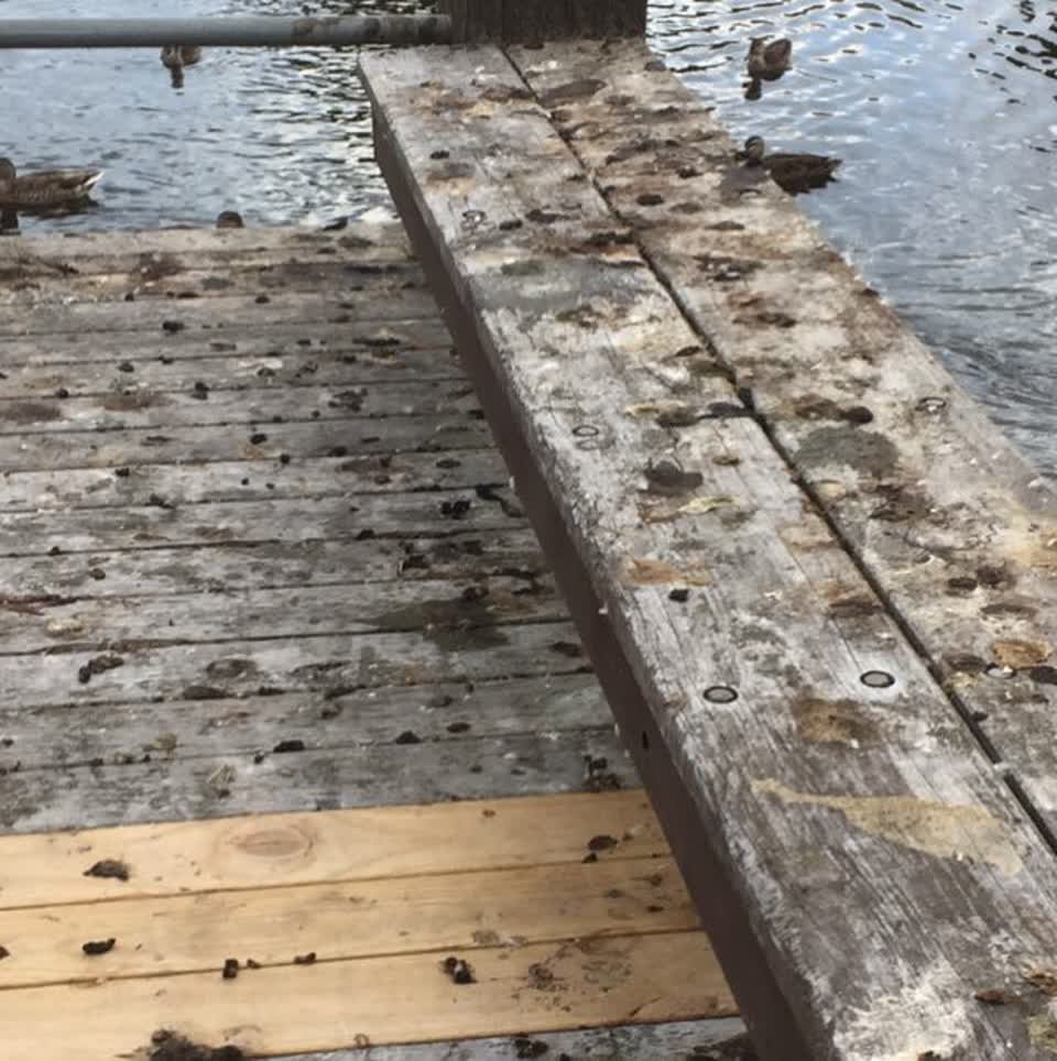 The photograph attached to this parks report