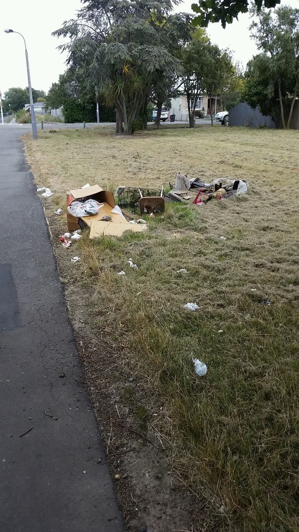 The photograph attached to this rubbish/recycling report