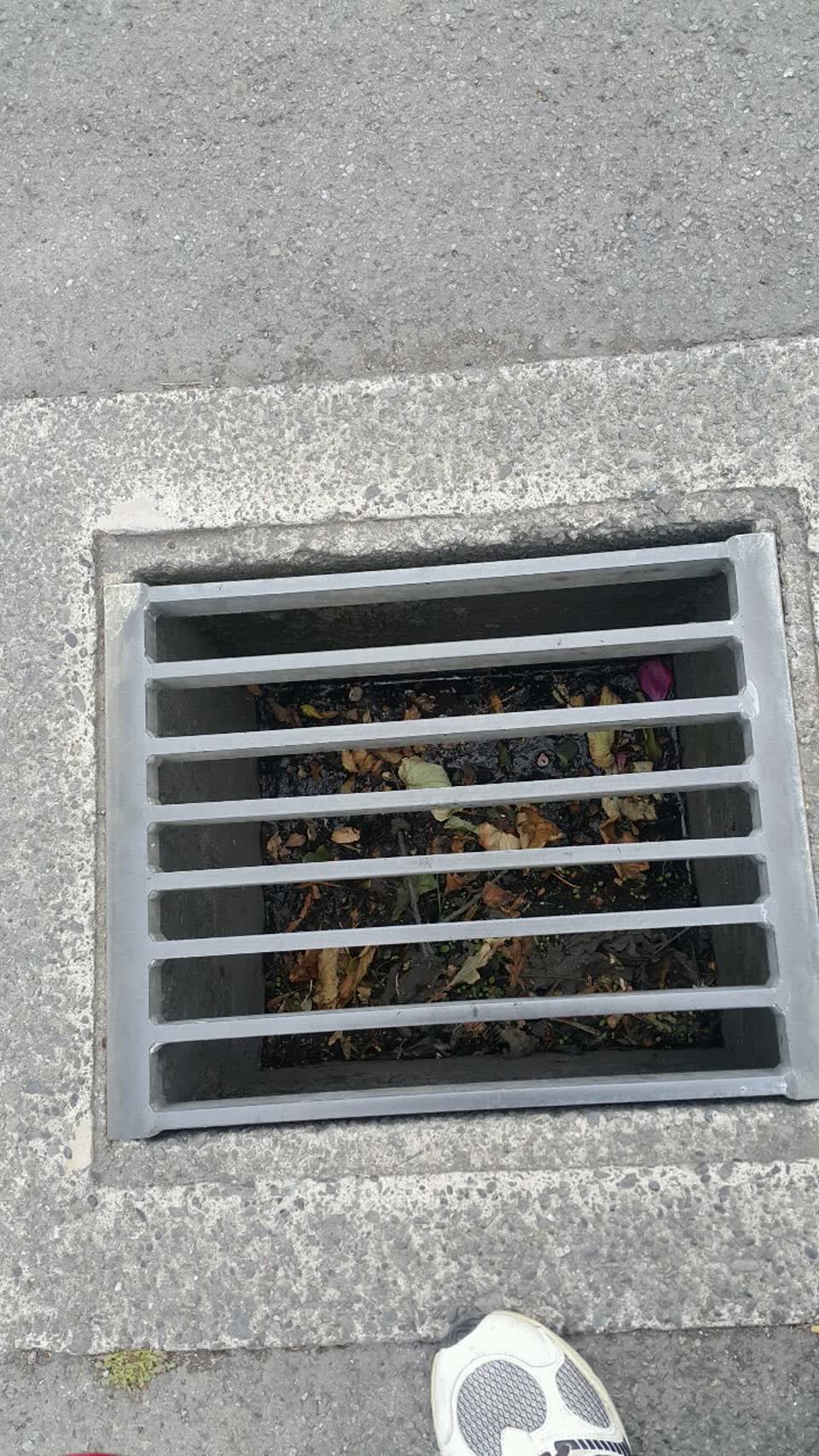 The photograph attached to this wastewater/stormwater report