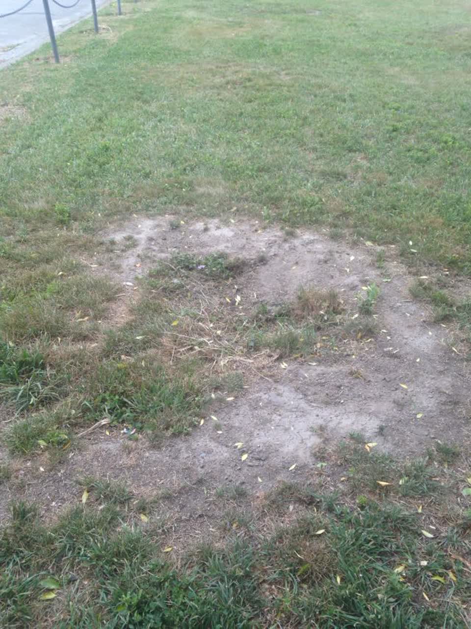 The photograph attached to this parks report