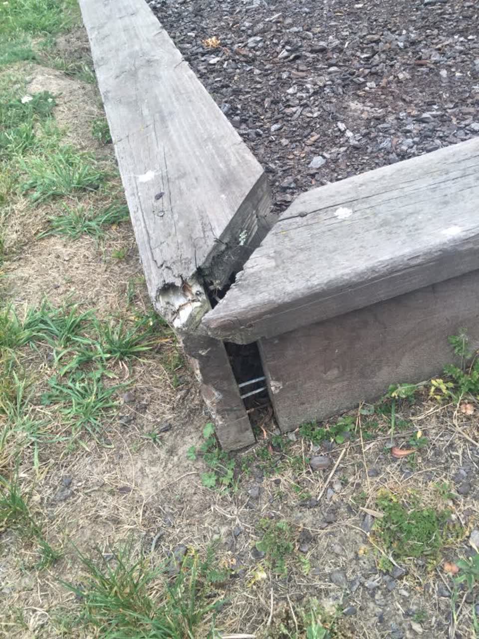 The photograph attached to this parks report