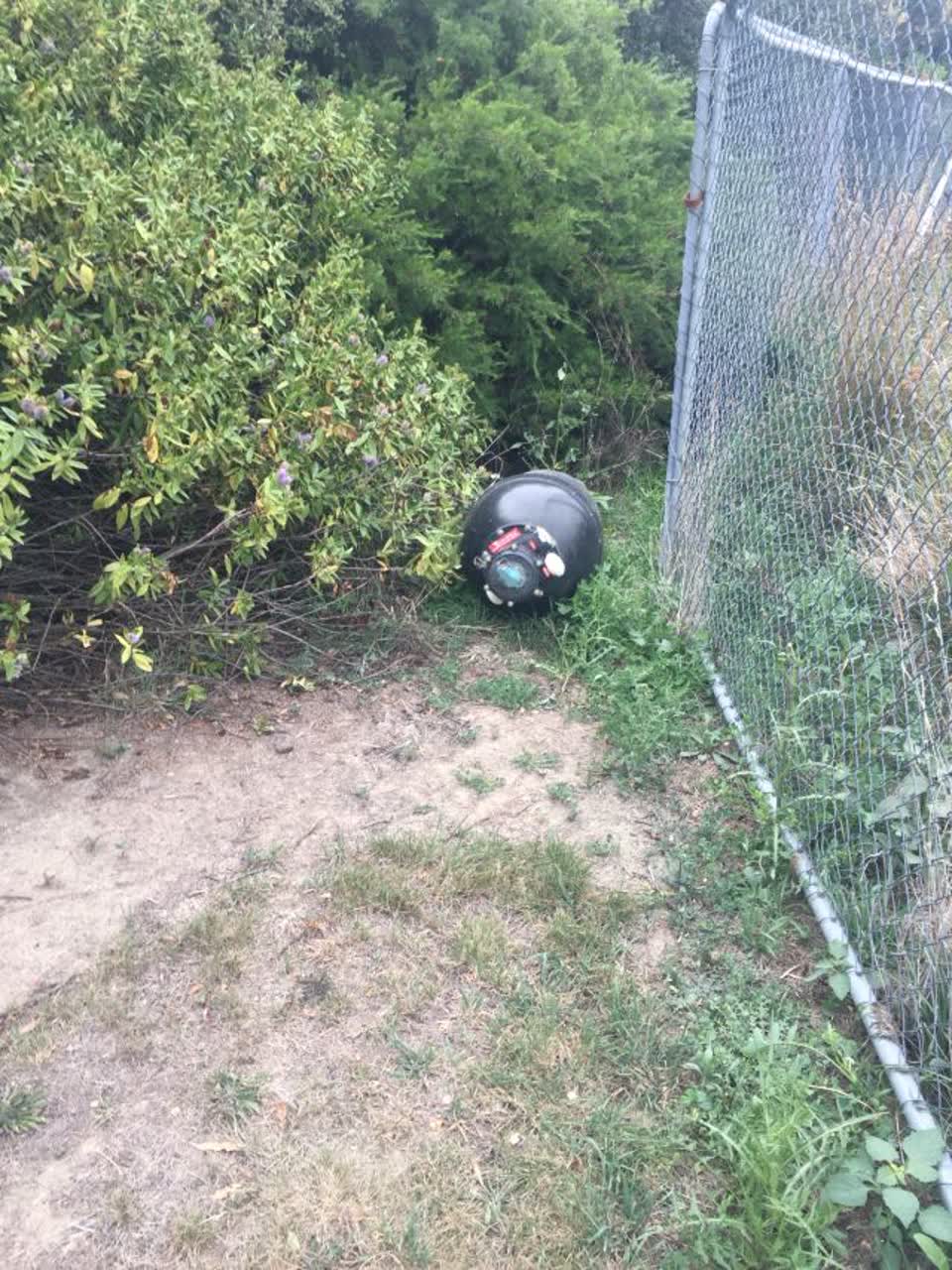 The photograph attached to this parks report