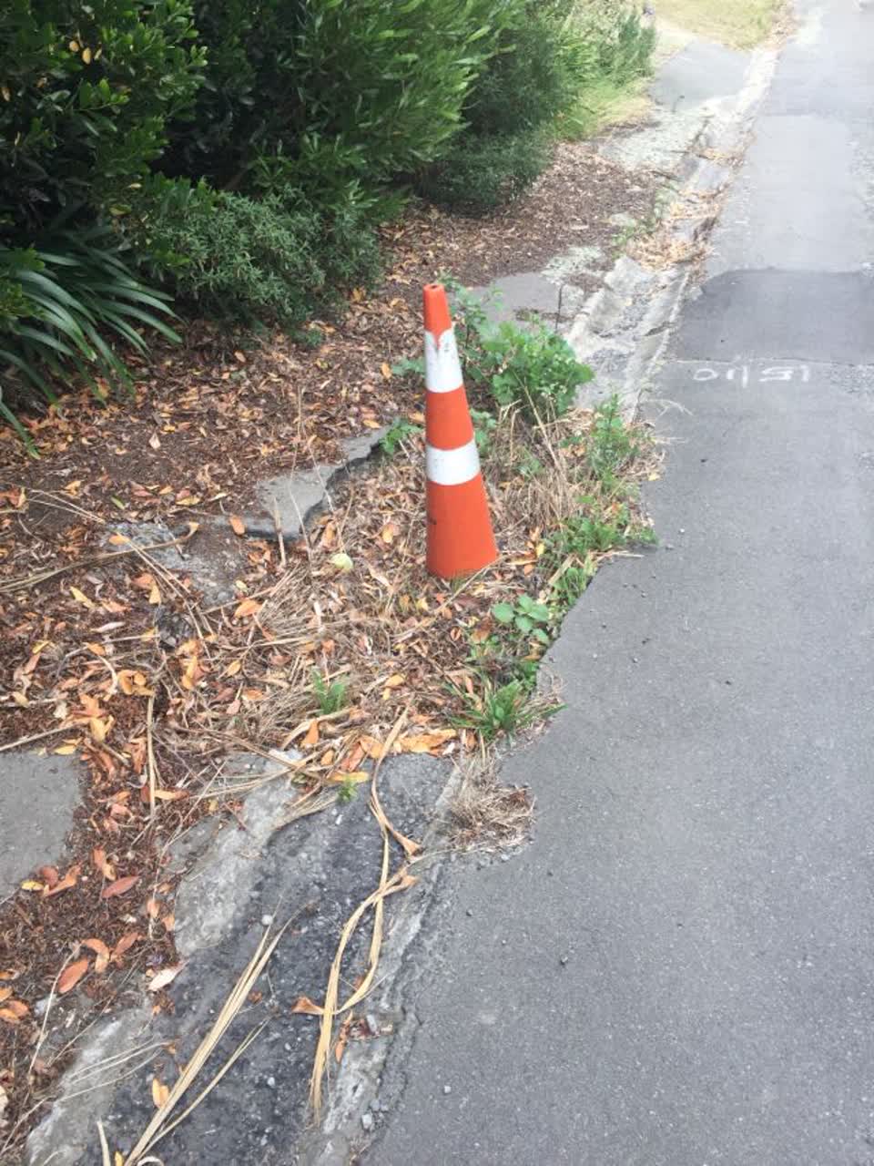 The photograph attached to this roading/streets report