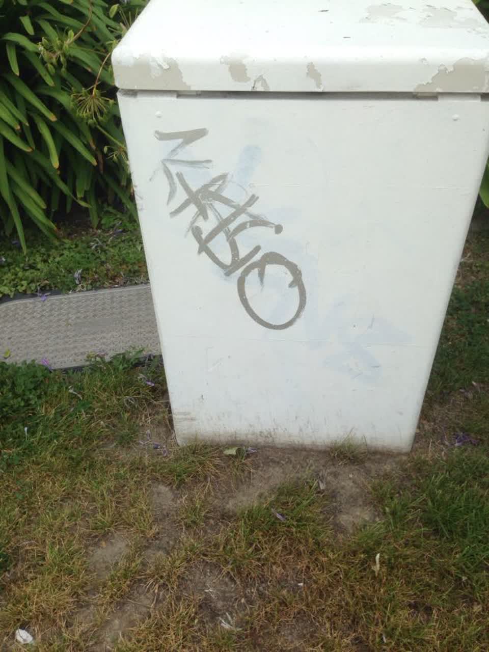 The photograph attached to this graffiti report